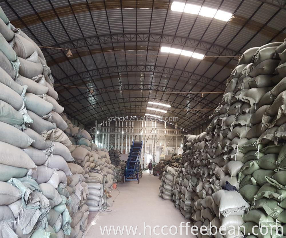 Chinese yunnan coffee beans,green coffee beans ,arabica type,screen 17-18